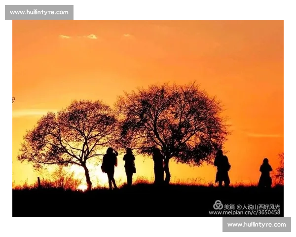 精彩纷呈的摄影比赛活动总结与反思:收获、经验与未来展望